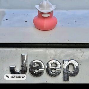 Magnetic Duck With Sunglasses